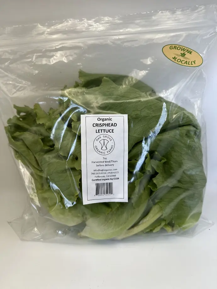 Crisphead Lettuce