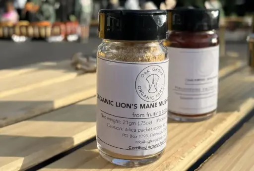 Lion's Mane Mushroom Powder