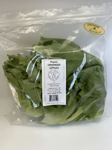 Crisphead Lettuce