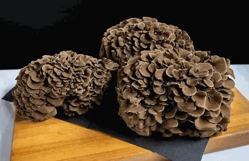 Maitake Mushrooms