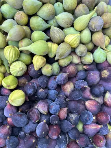 Figs