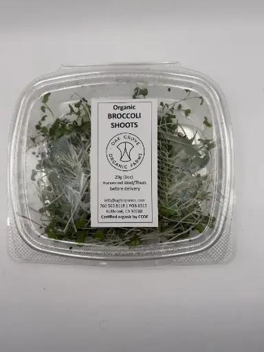 Broccoli Microgreens