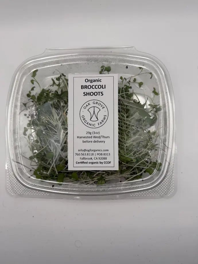 Broccoli Microgreens