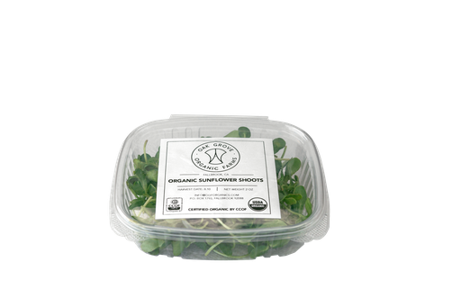 Sunflower Microgreens